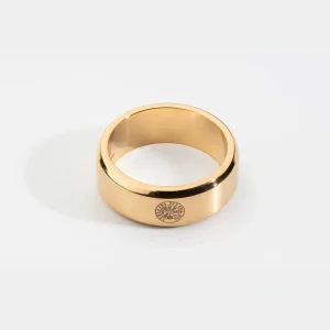 Siempre Vegvisir band – Guldtonet ring – Str. 5,5 – Herre – Northern Legacy